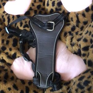 NWOT Boots and Barkley Dog Harness